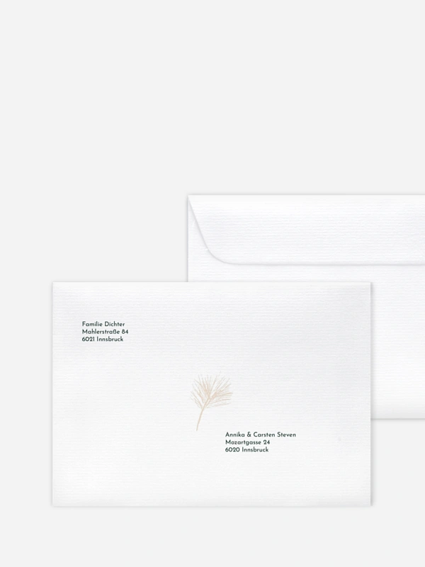 Elegant Pine