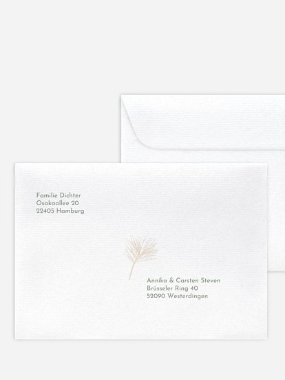 Elegant Pine Elegant Pine