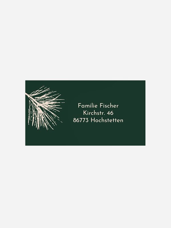 Elegant Pine