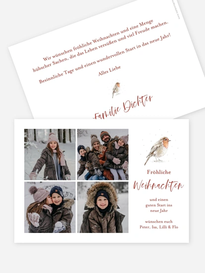 Weihnachtskarte Rotkehlchen