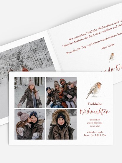 Weihnachtskarte Rotkehlchen