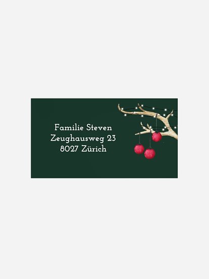 Empfängeraufkleber Weihnachten Reindeer ohne Foto