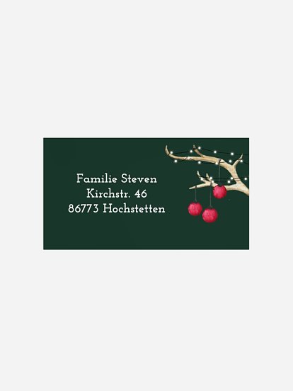 Empfängeraufkleber Weihnachten Reindeer ohne Foto