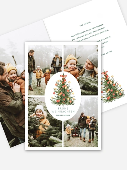 Orange Tree Orange Tree