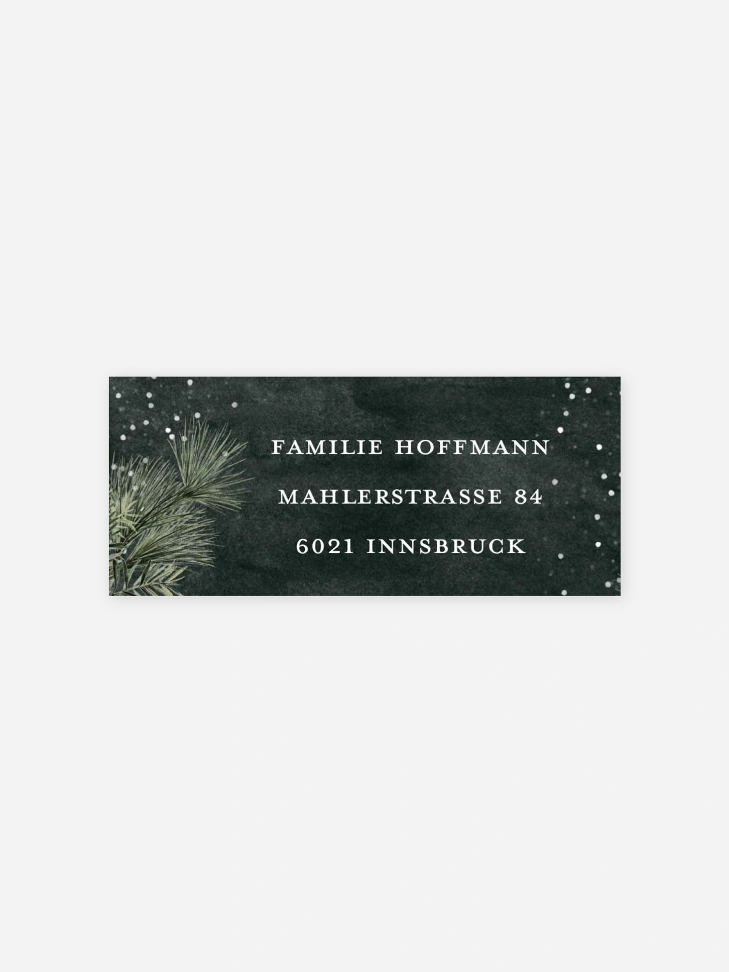 Absenderaufkleber Weihnachten Vintage Wintergreen