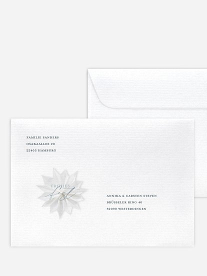 Festive Star Festive Star