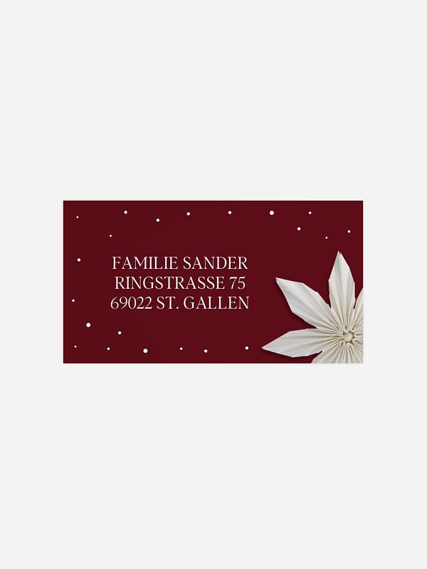 Paper Starflower