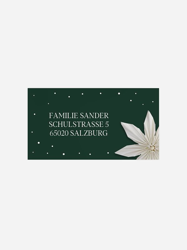 Paper Starflower