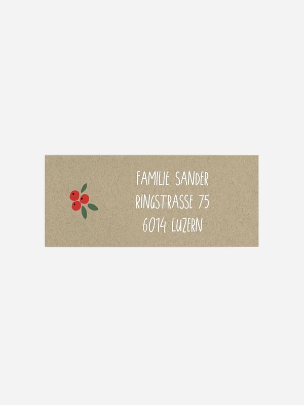 Christmasfun