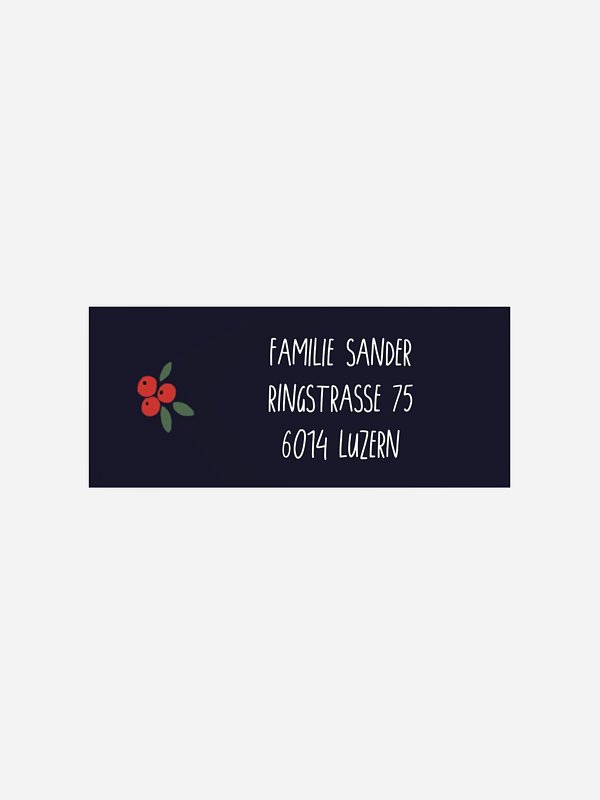 Christmasfun
