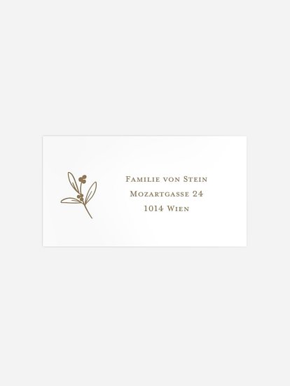 Festliche Fotos Festliche Fotos