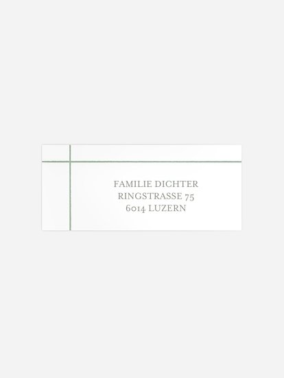 Elegant Bow Elegant Bow