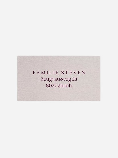 Empfängeraufkleber Weihnachten Festive Greetings