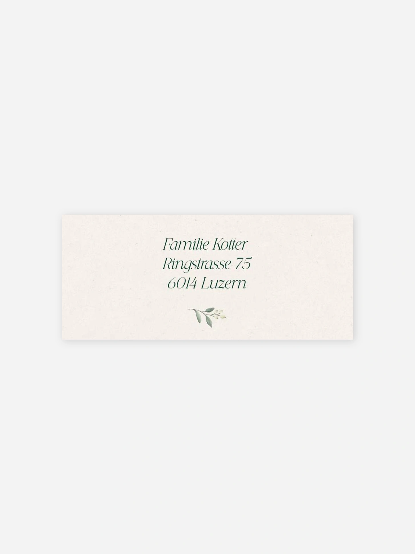Absenderaufkleber Weihnachten Evergreen Season