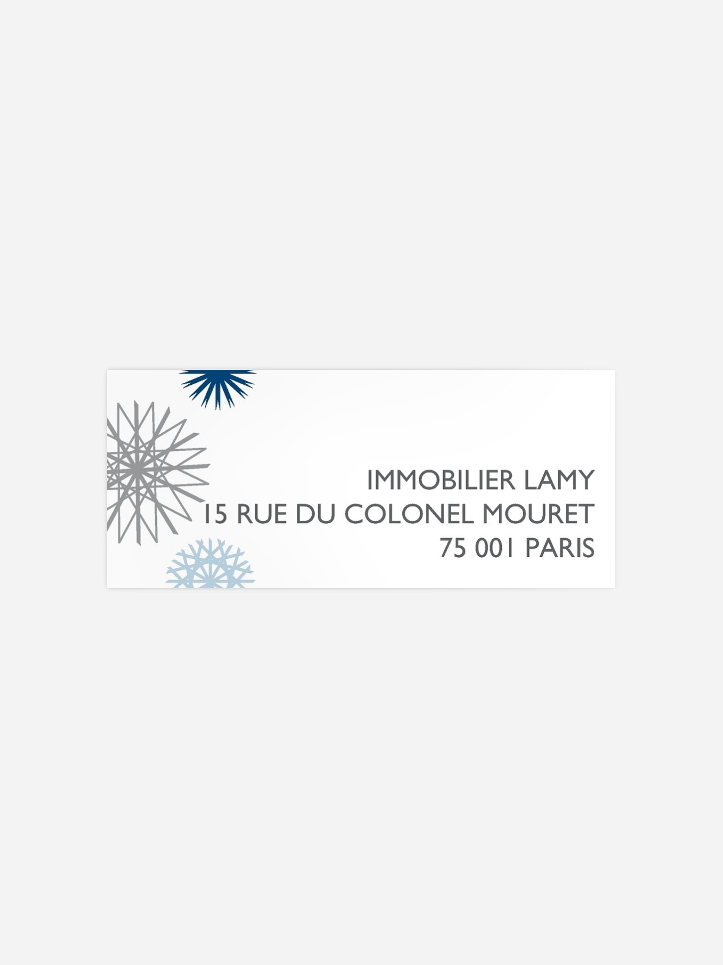 Étiquette expéditeur voeux entreprise Mille flocons