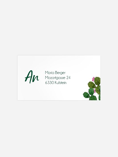 Empfängeraufkleber Geburtstag Kakteen