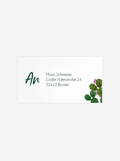 Empfängeraufkleber Geburtstag Kakteen