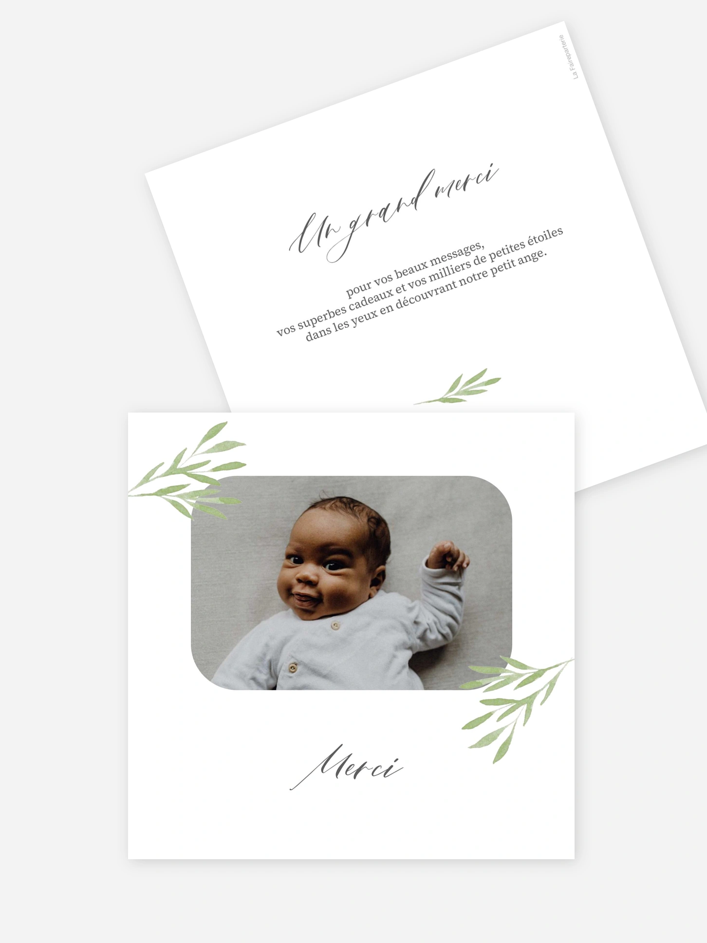 Carte remerciement naissance Brins de tendresse