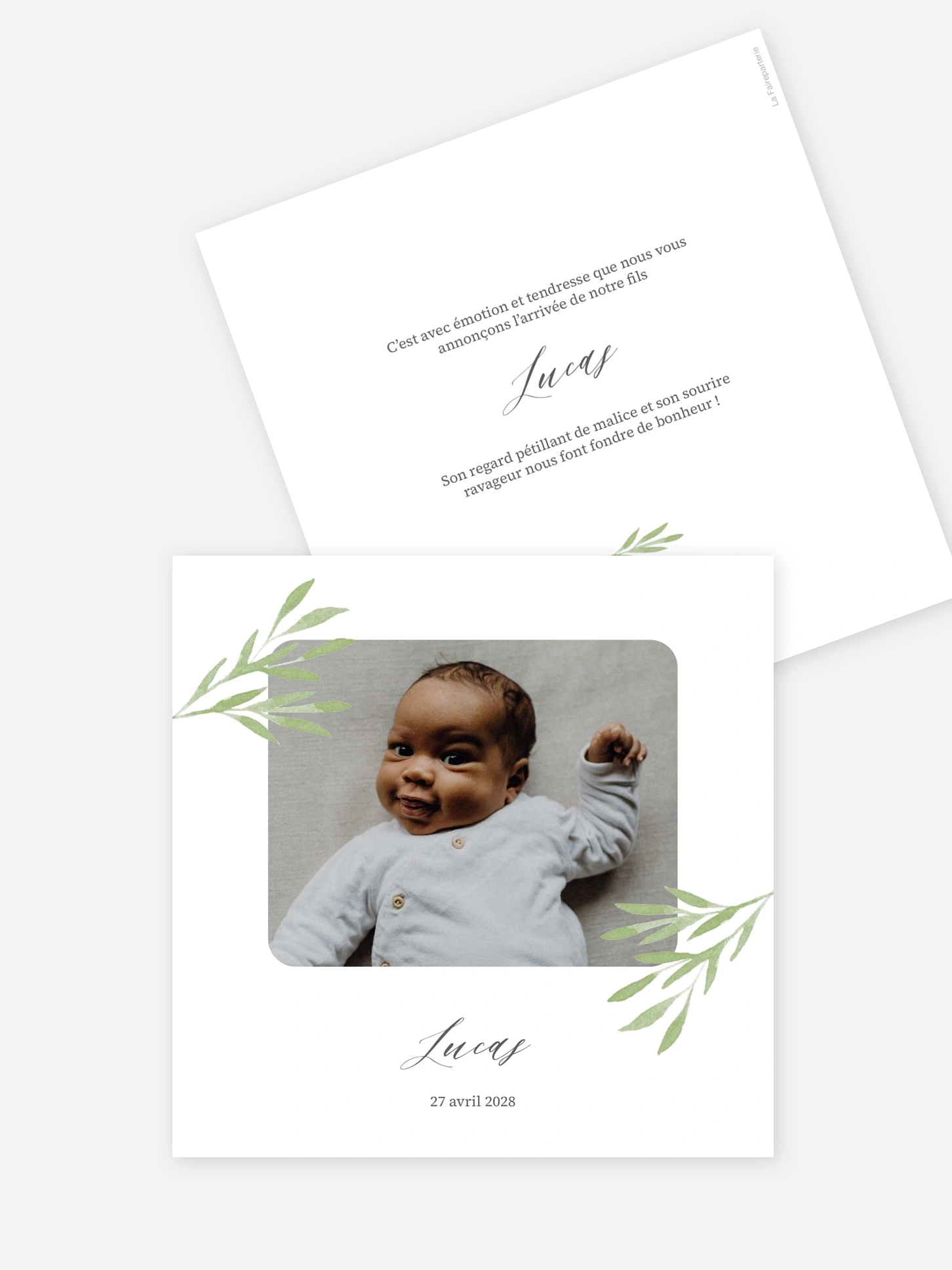 Faire-part naissance Brins de tendresse