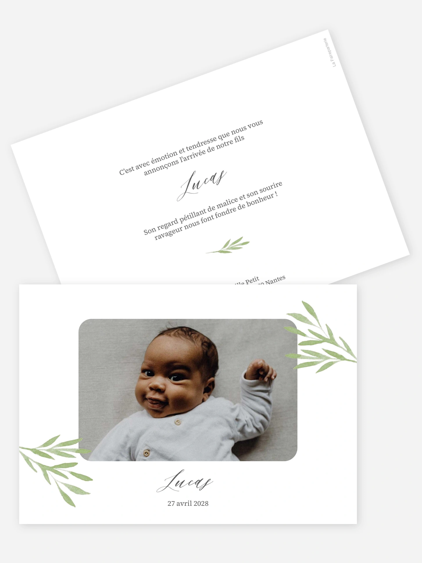 Faire-part naissance Brins de tendresse