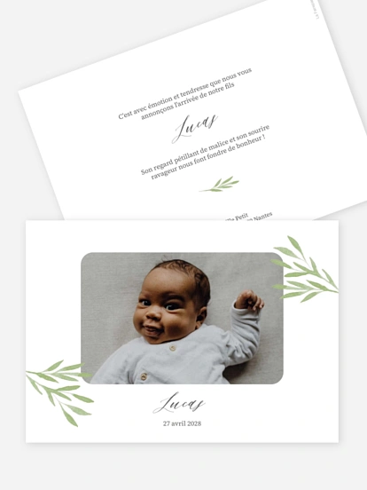 Faire-part naissance Brins de tendresse