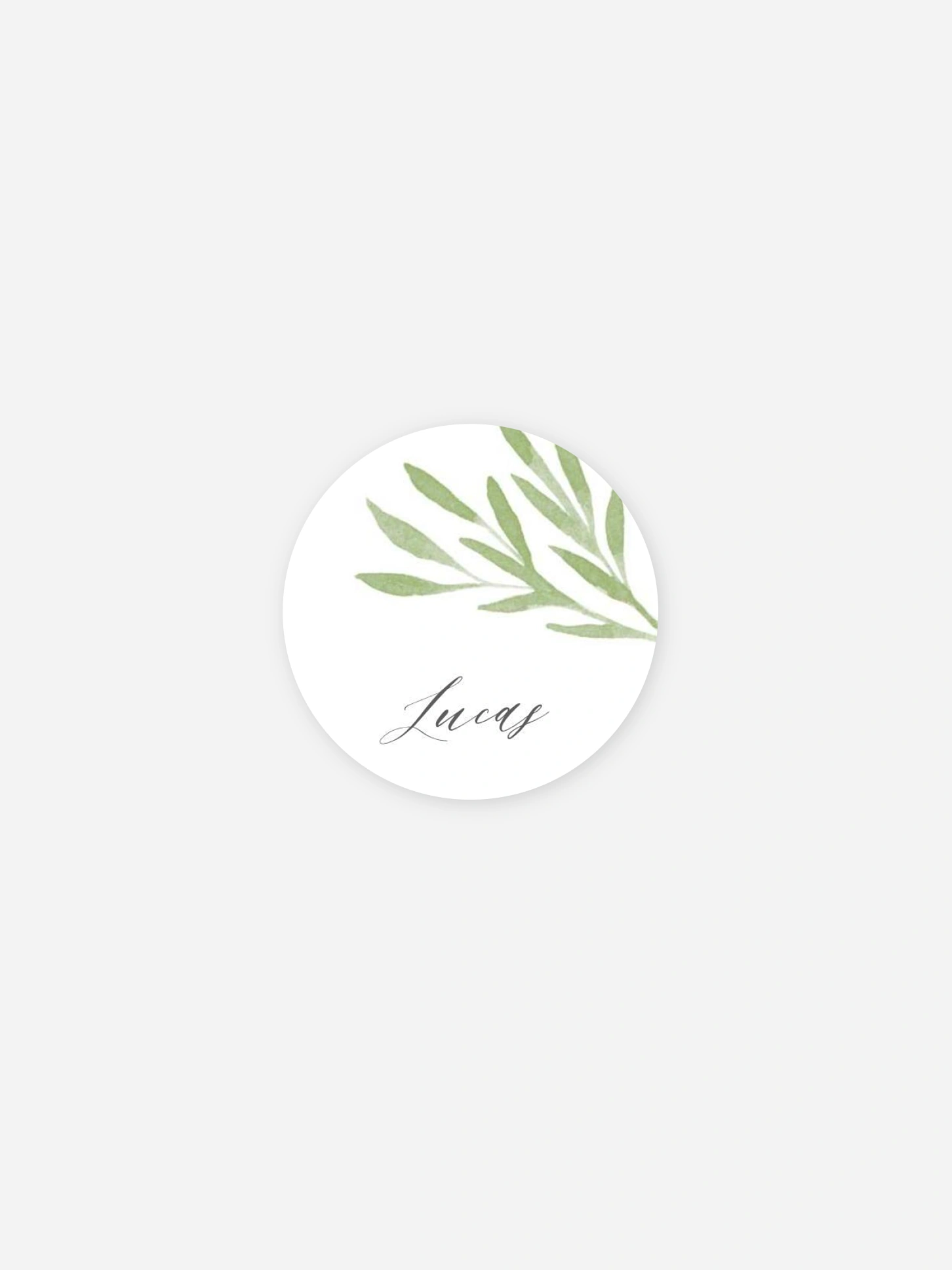 Stickers naissance Brins de tendresse
