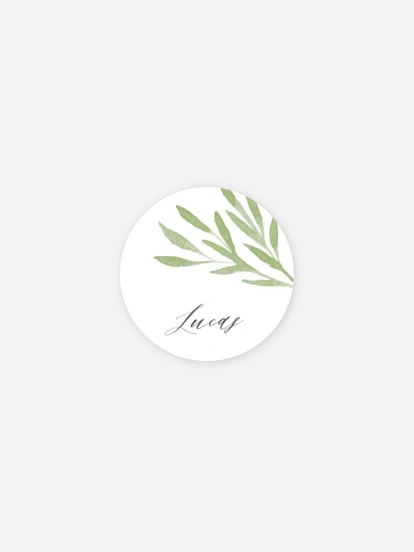 Stickers naissance Brins de tendresse