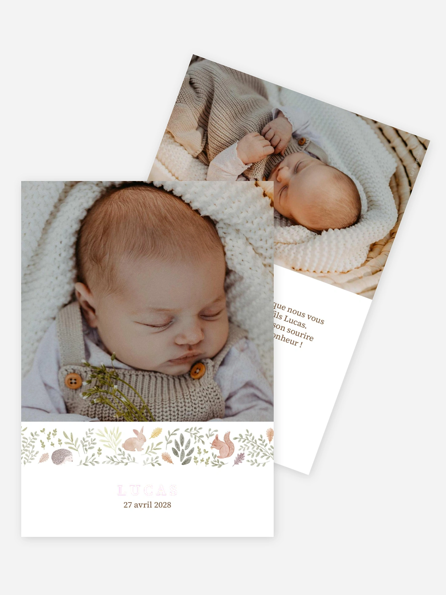Faire-part naissance Petit bois