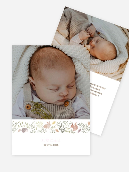 Faire-part naissance Petit bois