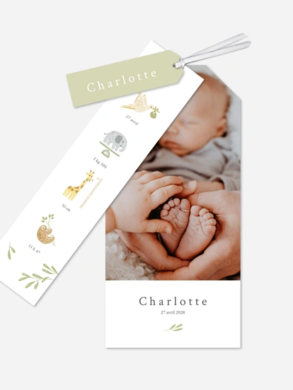 Faire-part naissance Douce savane