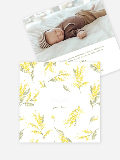 Carte remerciement naissance Tendre mimosa