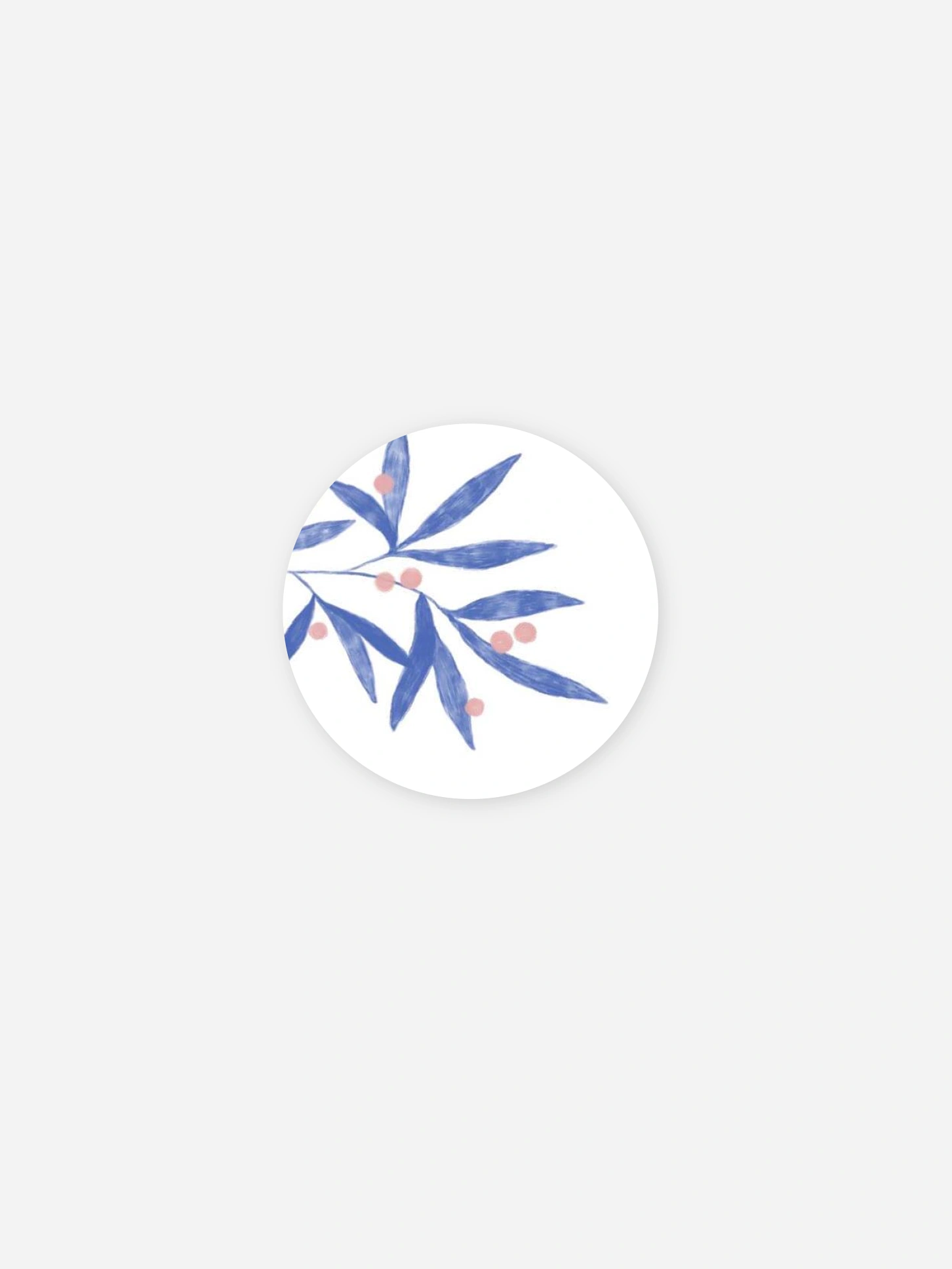 Stickers naissance Brin de laurier