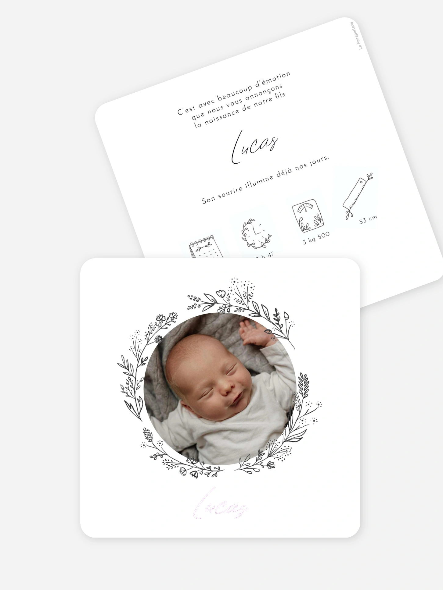 Faire-part naissance Petit rameau