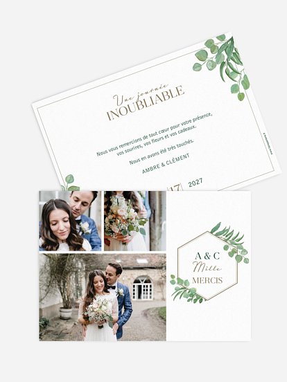 Carte de remerciements Eucalyptus