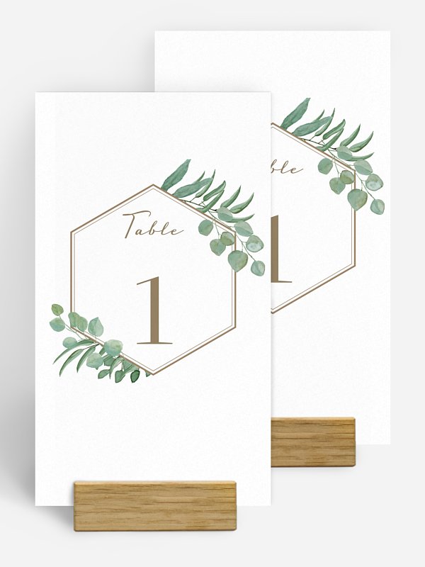 Eucalyptus