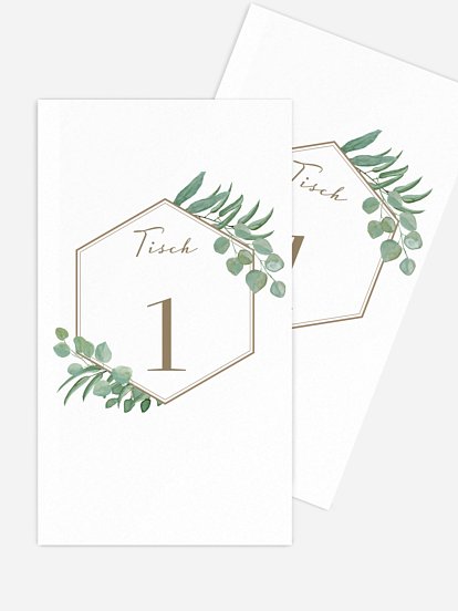 Eucalyptus Eucalyptus