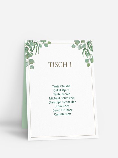 Eucalyptus Eucalyptus