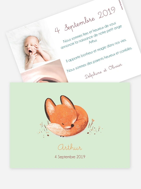 Petit renard