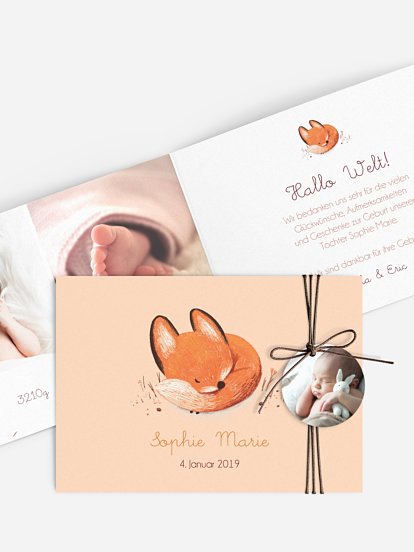 Kleines Füchslein Kleines Füchslein