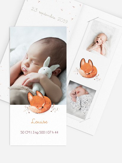 Faire-part naissance Petit renard