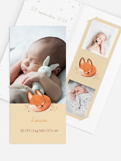 Faire-part naissance Petit renard