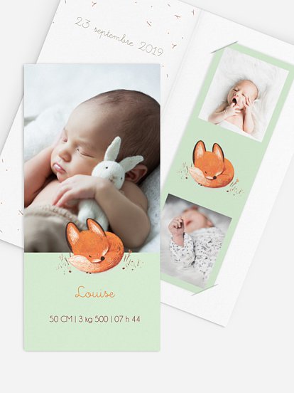 Petit renard Petit renard