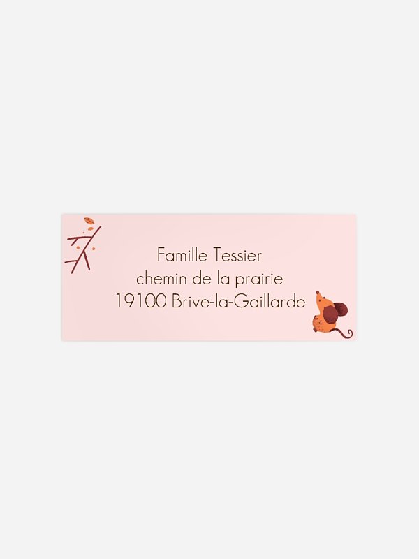Étiquette expéditeur anniversaire enfant Petits animaux