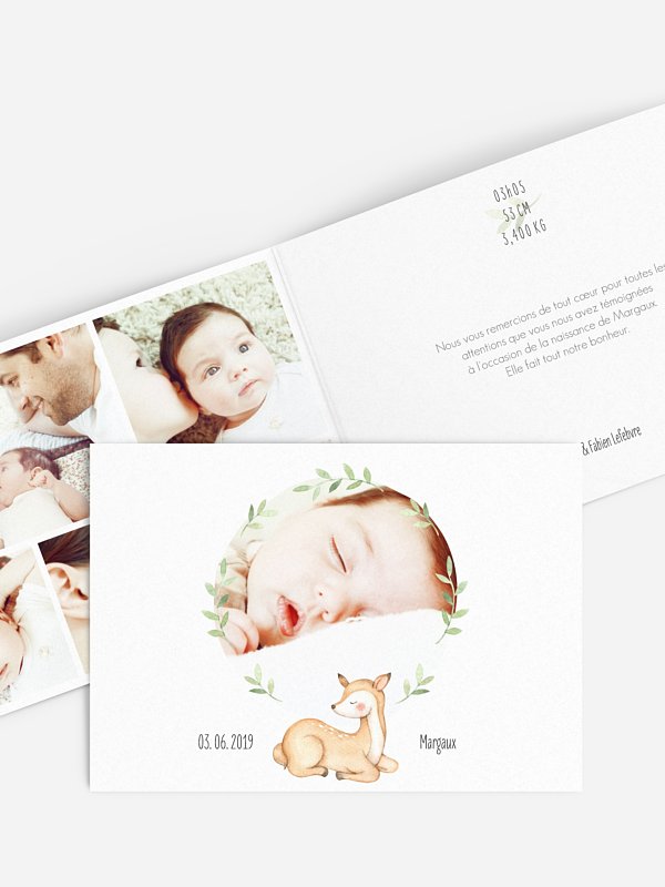 Faire-part naissance Faon