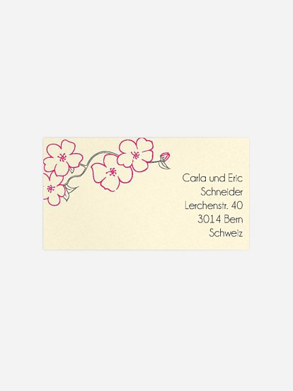 Empfängeraufkleber Silberhochzeit Freebird