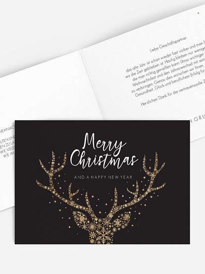 Sternenpracht Sternenpracht