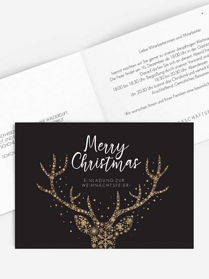 Sternenpracht Sternenpracht