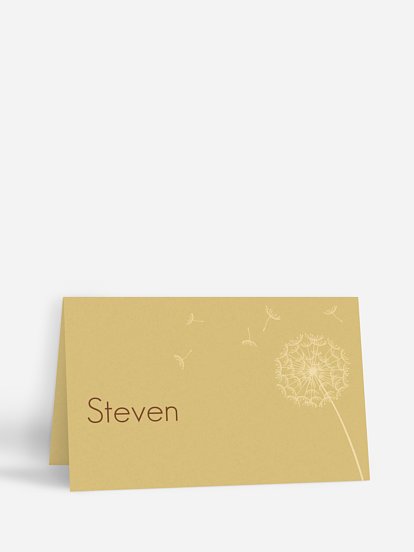 Tischkarte Geburtstag Pusteblume