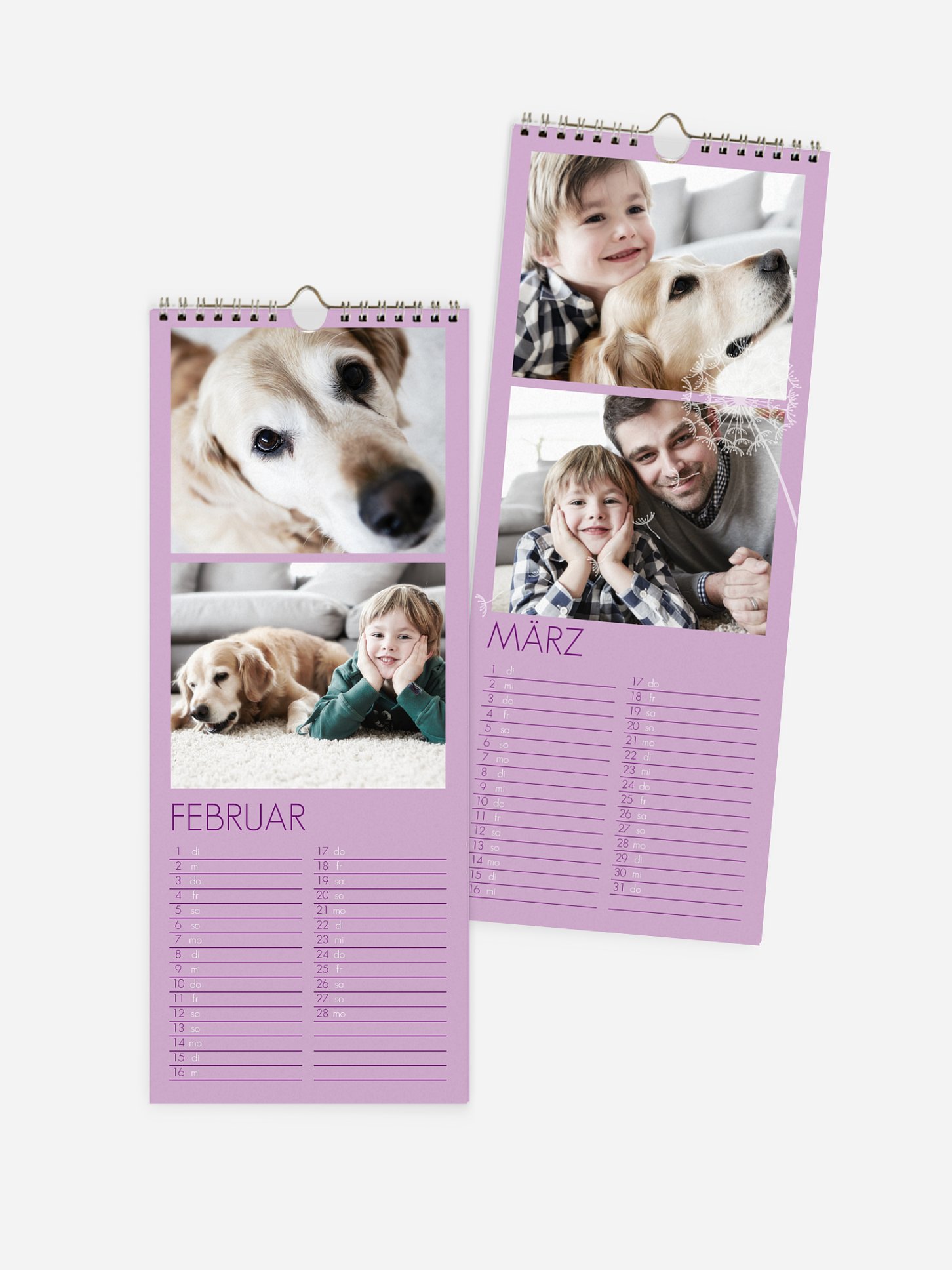 Wandkalender Pusteblume