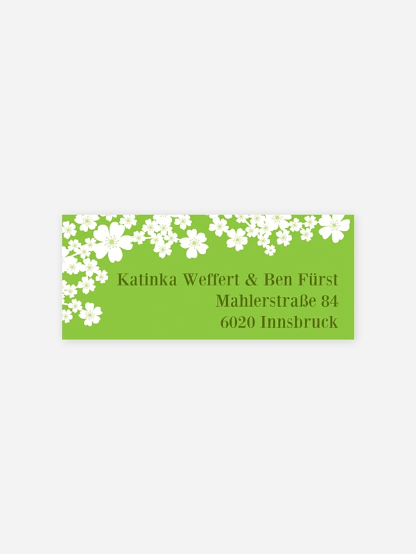 Kirschblüten